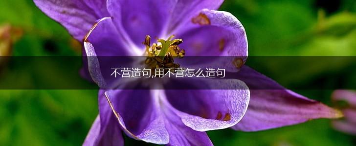 不营造句,用不营怎么造句,第1张 不营造句,用不营怎么造句,第1张