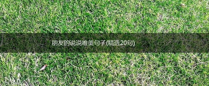 朋友的说说唯美句子(精选20句),第1张