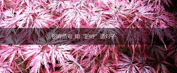 的呼造句_用“的呼”造句子,第1张 的呼造句_用“的呼”造句子,第1张