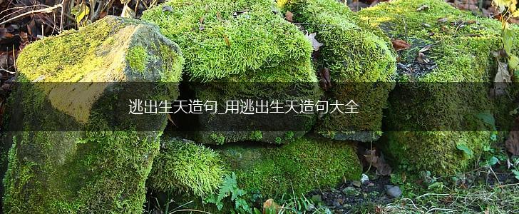逃出生天造句_用逃出生天造句大全,第1张