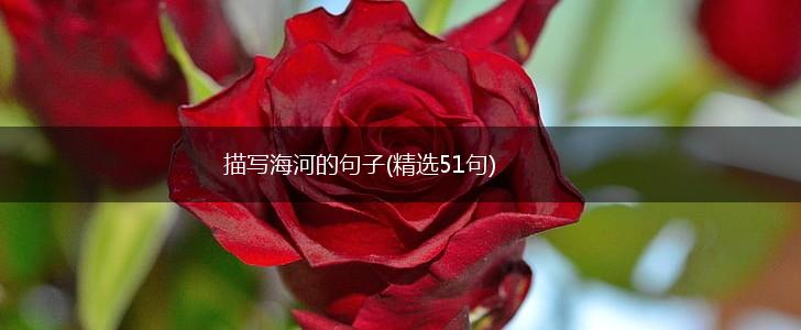 描写海河的句子(精选51句),第1张