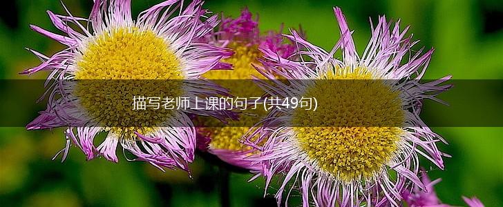 描写老师上课的句子(共49句),第1张