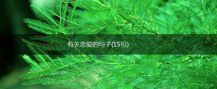 有关恋爱的句子(15句),第1张