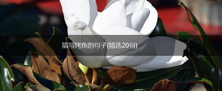 描写烤鱼的句子(精选20句),第1张