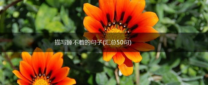 描写睡不着的句子(汇总50句),第1张