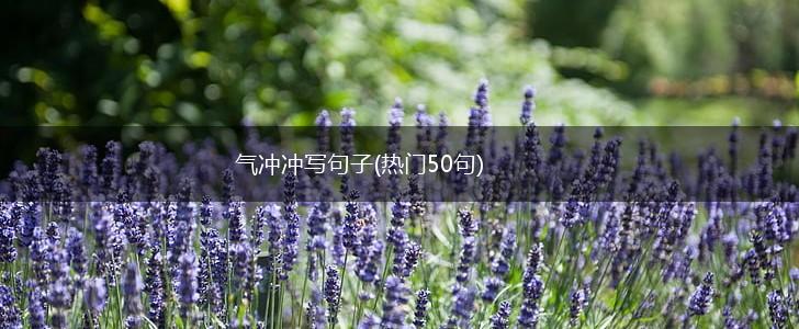 气冲冲写句子(热门50句),第1张