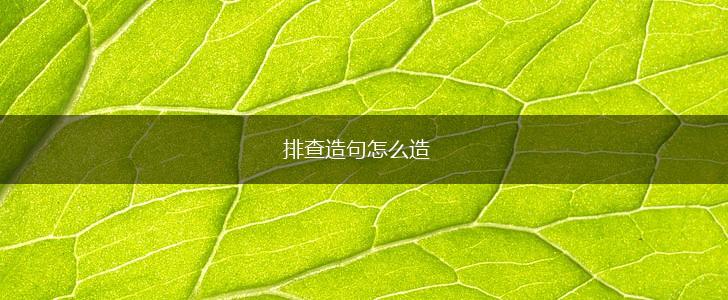 排查造句怎么造,第1张