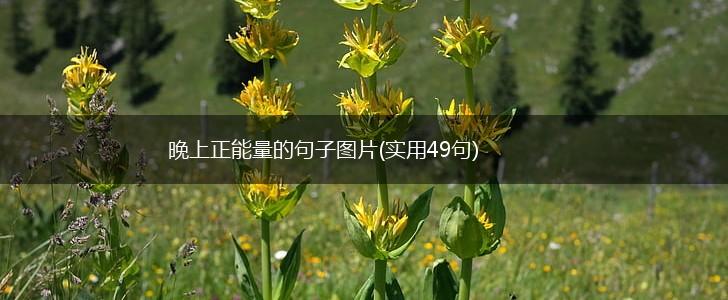晚上正能量的句子图片(实用49句),第1张