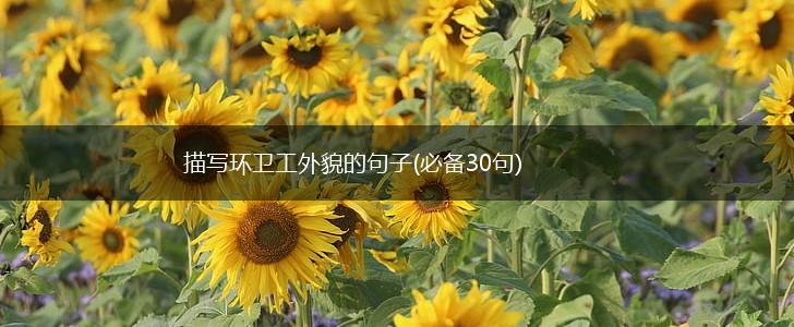 描写环卫工外貌的句子(必备30句),第1张