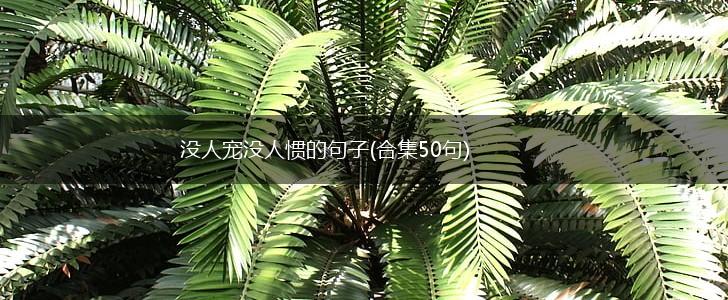 没人宠没人惯的句子(合集50句),第1张