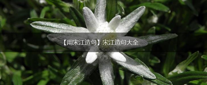 【用宋江造句】宋江造句大全,第1张
