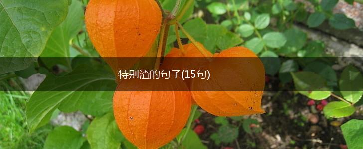 特别渣的句子(15句),第1张