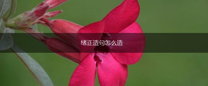 绪正造句怎么造,第1张