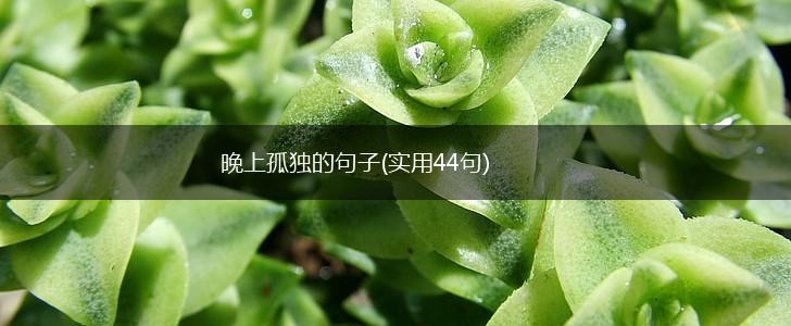 晚上孤独的句子(实用44句),第1张