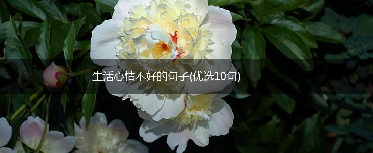 生活心情不好的句子(优选10句),第1张