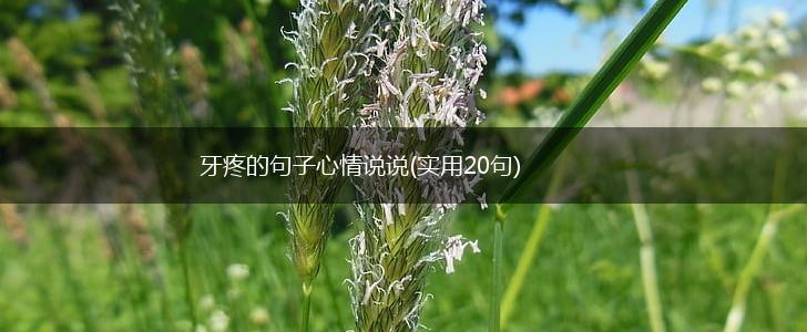 牙疼的句子心情说说(实用20句),第1张