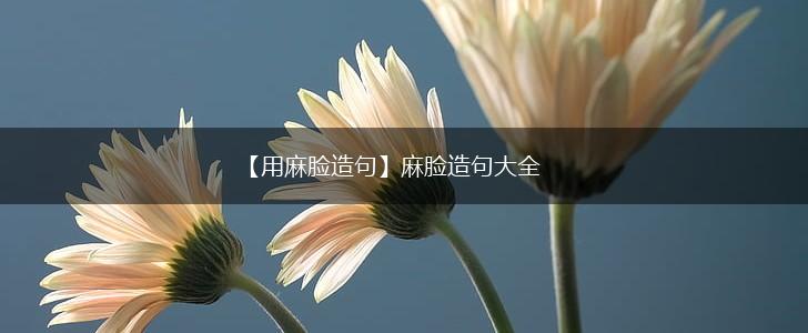 【用麻脸造句】麻脸造句大全,第1张 【用麻脸造句】麻脸造句大全,第1张