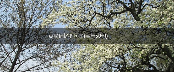 点滴记忆的句子(实用50句),第1张