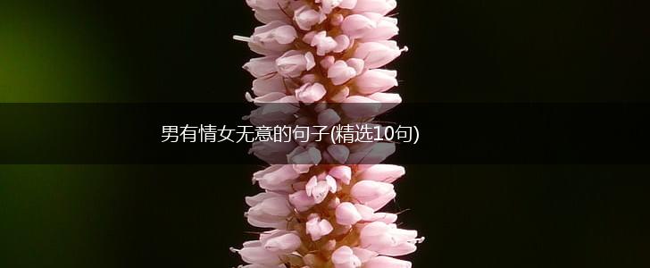 男有情女无意的句子(精选10句),第1张