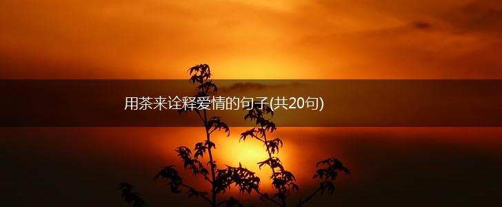 用茶来诠释爱情的句子(共20句),第1张