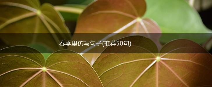 春季里仿写句子(推荐50句),第1张