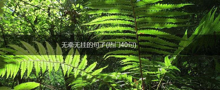 无牵无挂的句子(热门40句),第1张