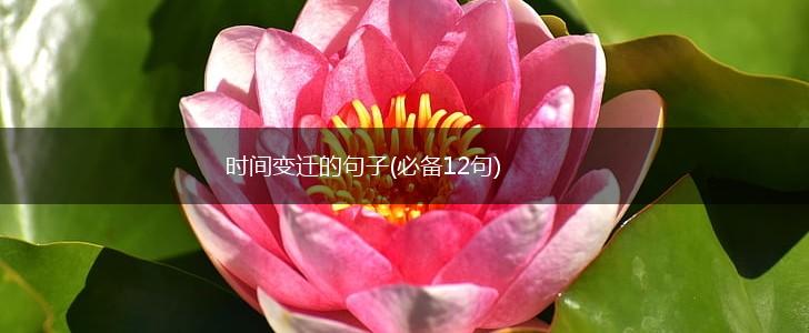 时间变迁的句子(必备12句),第1张