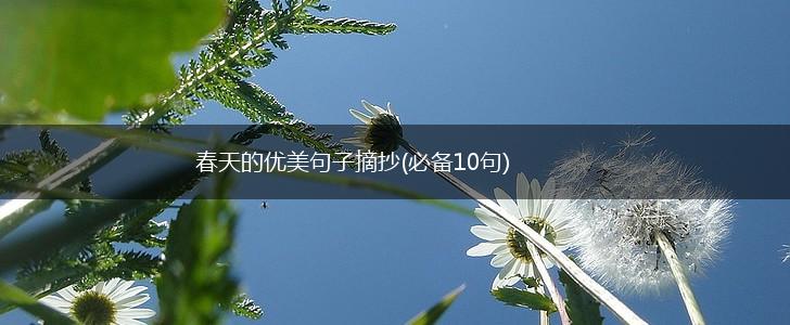 春天的优美句子摘抄(必备10句),第1张
