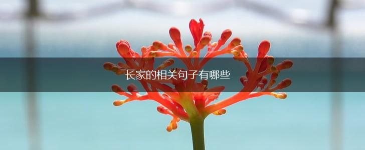 长家的相关句子有哪些,第1张 长家的相关句子有哪些,第1张