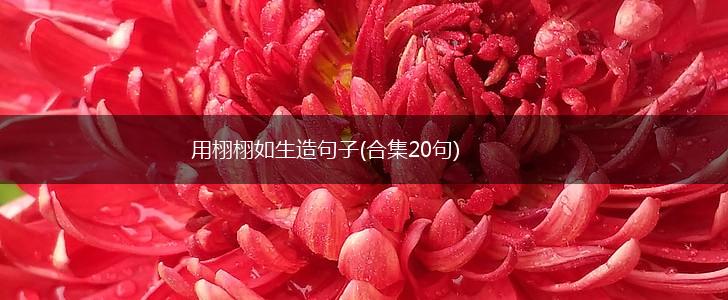 用栩栩如生造句子(合集20句),第1张