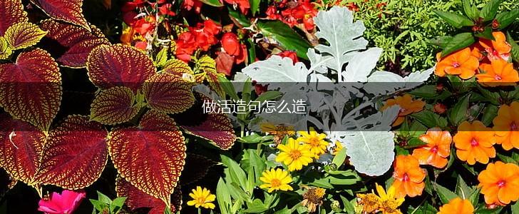 做活造句怎么造,第1张 做活造句怎么造,第1张