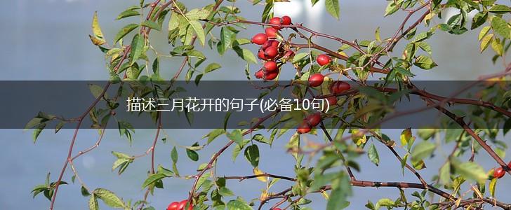 描述三月花开的句子(必备10句),第1张