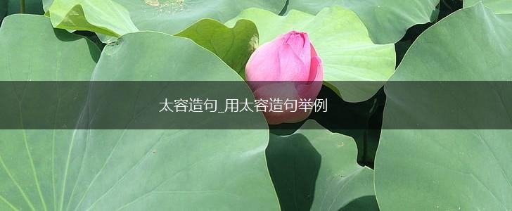 太容造句_用太容造句举例,第1张
