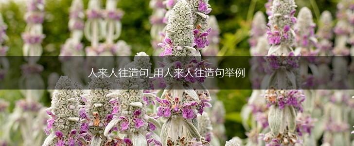 人来人往造句_用人来人往造句举例,第1张