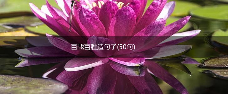 百战百胜造句子(50句),第1张