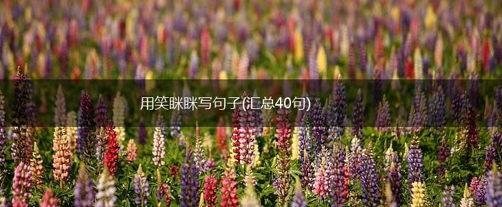 用笑眯眯写句子(汇总40句),第1张