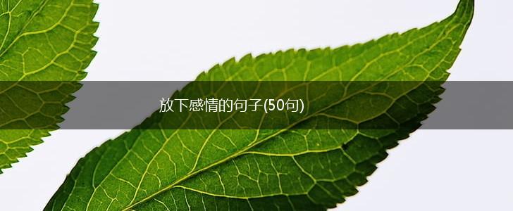 放下感情的句子(50句),第1张