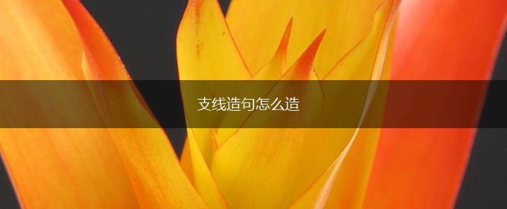 支线造句怎么造,第1张 支线造句怎么造,第1张