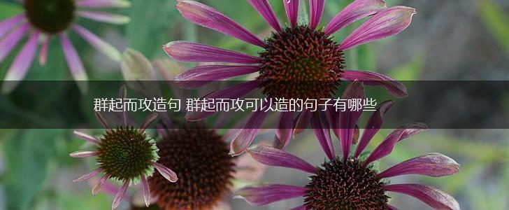 群起而攻造句 群起而攻可以造的句子有哪些,第1张