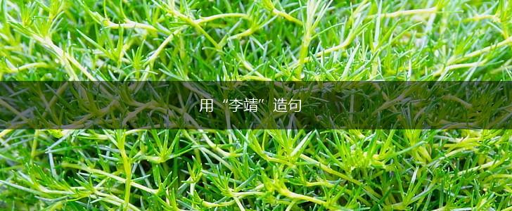 用“李靖”造句,第1张