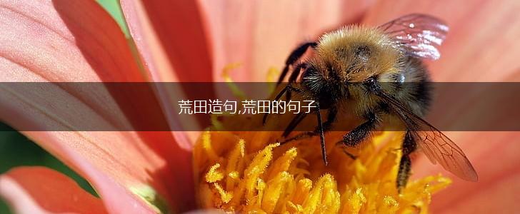 荒田造句,荒田的句子,第1张