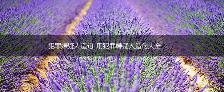 犯罪嫌疑人造句_用犯罪嫌疑人造句大全,第1张 犯罪嫌疑人造句_用犯罪嫌疑人造句大全,第1张