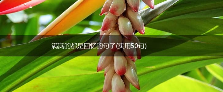 满满的都是回忆的句子(实用50句),第1张