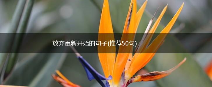 放弃重新开始的句子(推荐50句),第1张