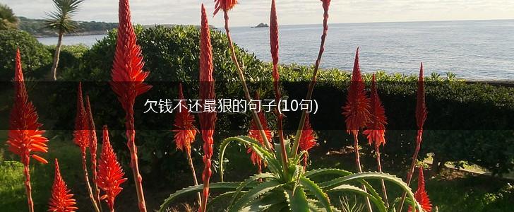 欠钱不还最狠的句子(10句),第1张