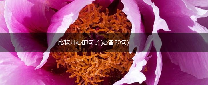 比较开心的句子(必备20句),第1张