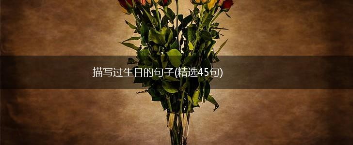描写过生日的句子(精选45句),第1张