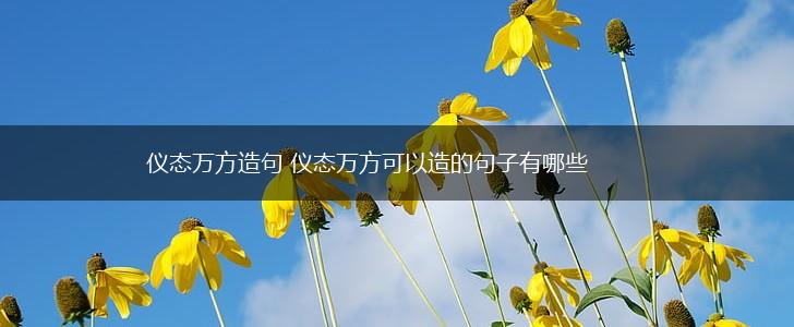 仪态万方造句 仪态万方可以造的句子有哪些,第1张