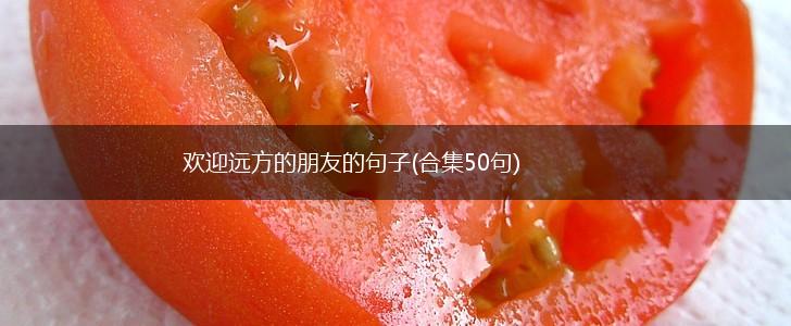 欢迎远方的朋友的句子(合集50句),第1张