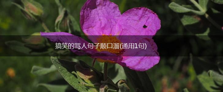 搞笑的骂人句子顺口溜(通用1句),第1张